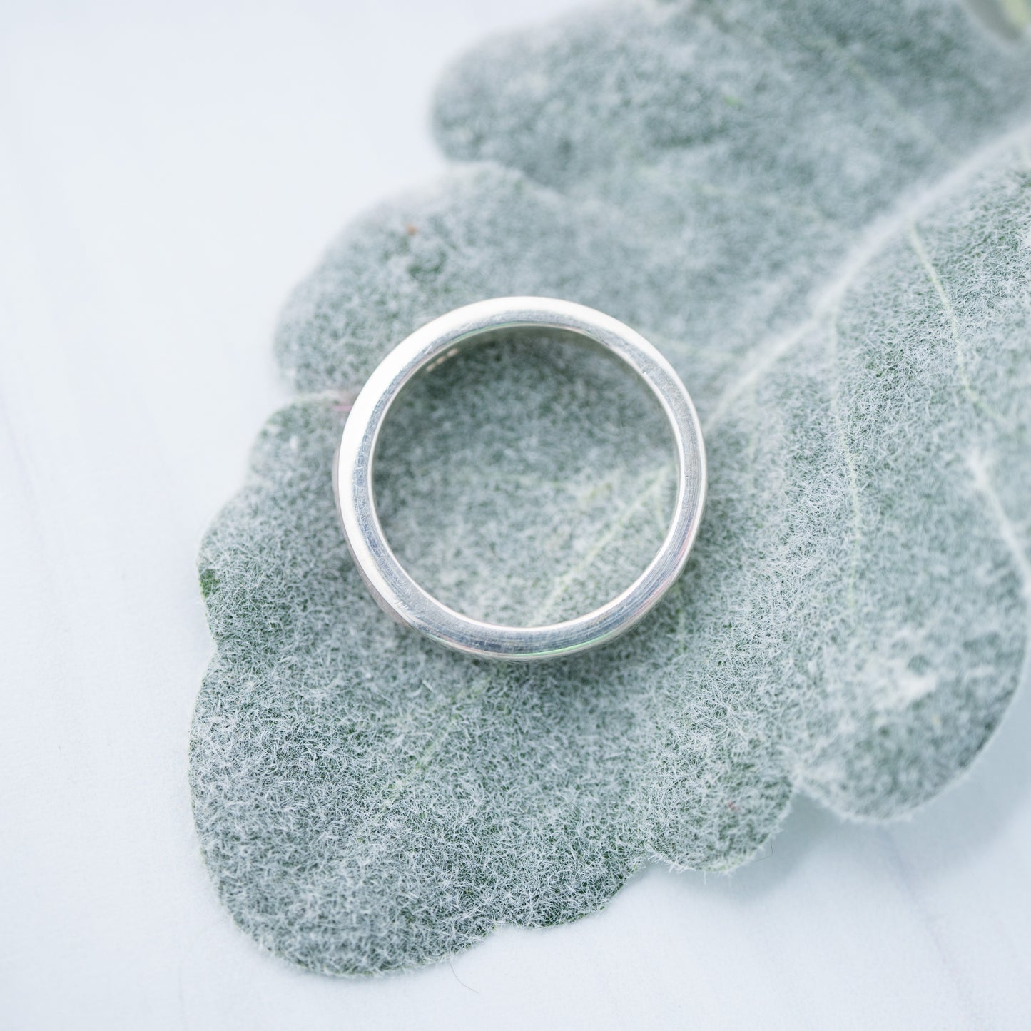 James Ring